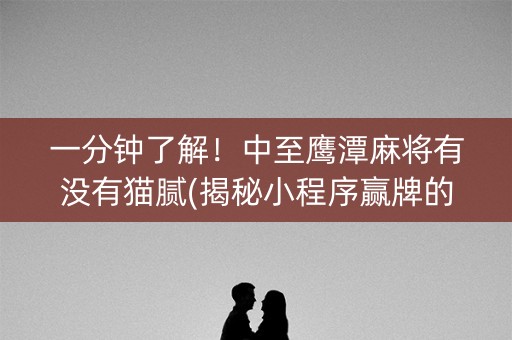 一分钟了解！中至鹰潭麻将有没有猫腻(揭秘小程序赢牌的技巧)