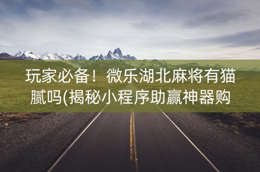 玩家必备！微乐湖北麻将有猫腻吗(揭秘小程序助赢神器购买)