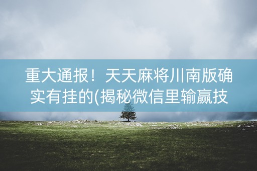 重大通报！天天麻将川南版确实有挂的(揭秘微信里输赢技巧)