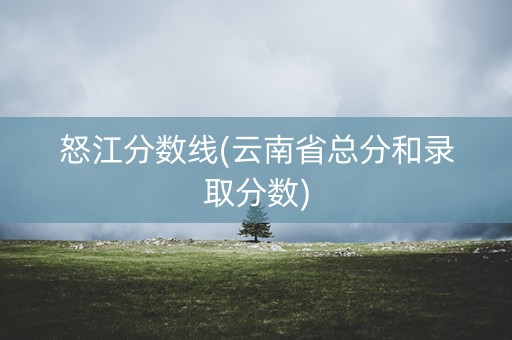 怒江分数线(云南省总分和录取分数)