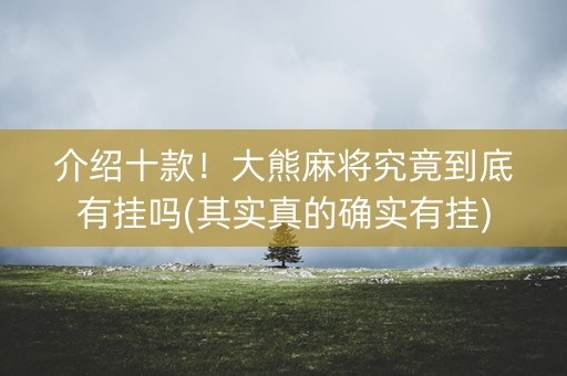 介绍十款！大熊麻将究竟到底有挂吗(其实真的确实有挂)