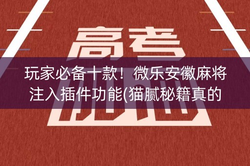 玩家必备十款！微乐安徽麻将注入插件功能(猫腻秘籍真的有挂)