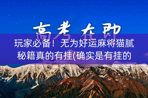 玩家必备！无为好运麻将猫腻秘籍真的有挂(确实是有挂的)