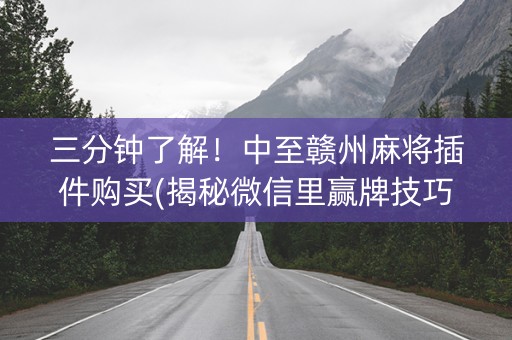 三分钟了解！中至赣州麻将插件购买(揭秘微信里赢牌技巧)