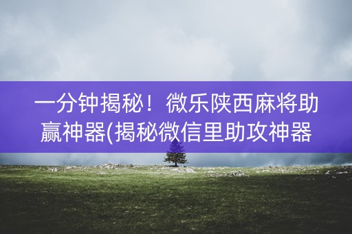 一分钟揭秘！微乐陕西麻将助赢神器(揭秘微信里助攻神器)