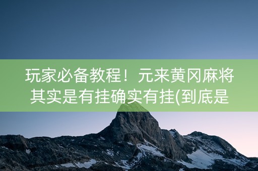 玩家必备教程！元来黄冈麻将其实是有挂确实有挂(到底是不是有挂)