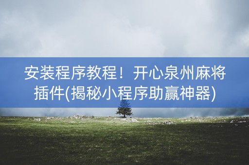 安装程序教程！开心泉州麻将插件(揭秘小程序助赢神器)