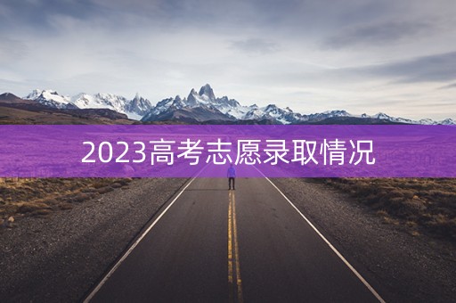 2023高考志愿录取情况