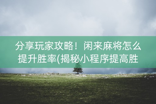分享玩家攻略！闲来麻将怎么提升胜率(揭秘小程序提高胜率)