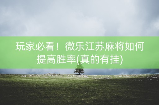 玩家必看！微乐江苏麻将如何提高胜率(真的有挂)