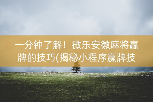 一分钟了解！微乐安徽麻将赢牌的技巧(揭秘小程序赢牌技巧)