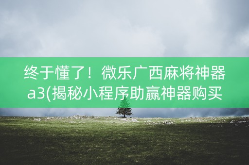 终于懂了！微乐广西麻将神器a3(揭秘小程序助赢神器购买)