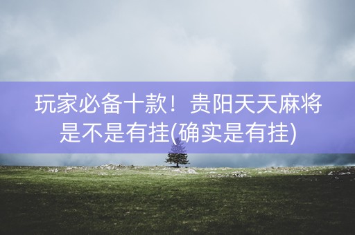 玩家必备十款！贵阳天天麻将是不是有挂(确实是有挂)