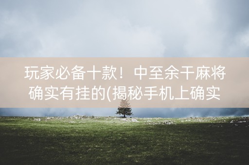 玩家必备十款！中至余干麻将确实有挂的(揭秘手机上确实有猫腻)