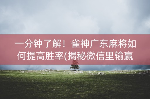 一分钟了解！雀神广东麻将如何提高胜率(揭秘微信里输赢规律)