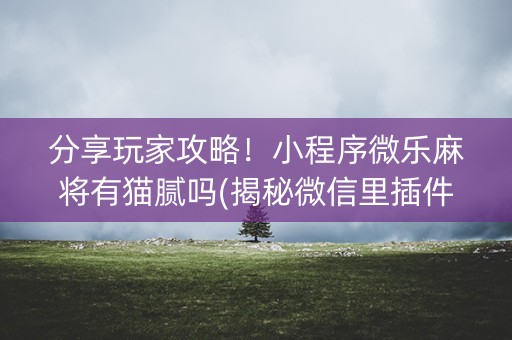 分享玩家攻略！小程序微乐麻将有猫腻吗(揭秘微信里插件下载)
