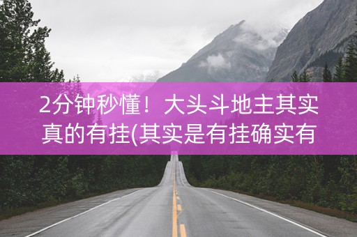 2分钟秒懂！大头斗地主其实真的有挂(其实是有挂确实有挂)