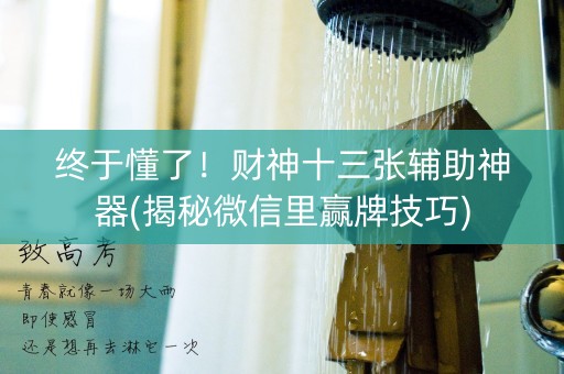 终于懂了！财神十三张辅助神器(揭秘微信里赢牌技巧)