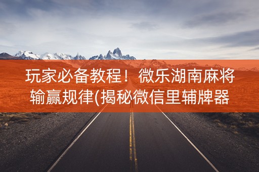 玩家必备教程！微乐湖南麻将输赢规律(揭秘微信里辅牌器)