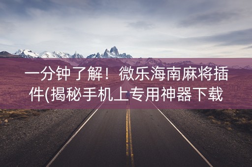 一分钟了解！微乐海南麻将插件(揭秘手机上专用神器下载)