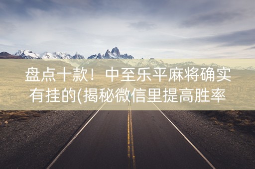 盘点十款！中至乐平麻将确实有挂的(揭秘微信里提高胜率)