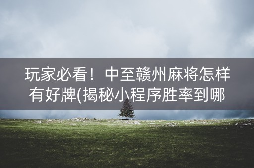 玩家必看！中至赣州麻将怎样有好牌(揭秘小程序胜率到哪调)