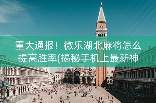 重大通报！微乐湖北麻将怎么提高胜率(揭秘手机上最新神器下载)