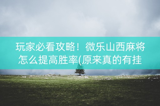 玩家必看攻略！微乐山西麻将怎么提高胜率(原来真的有挂)