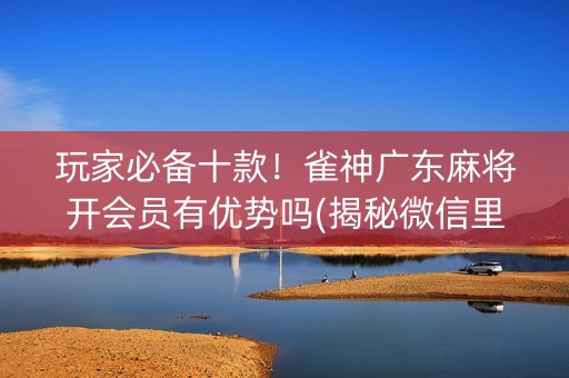玩家必备十款！雀神广东麻将开会员有优势吗(揭秘微信里专用神器)