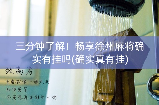 三分钟了解！畅享徐州麻将确实有挂吗(确实真有挂)