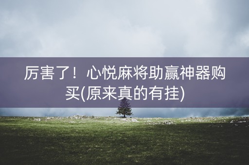 厉害了！心悦麻将助赢神器购买(原来真的有挂)