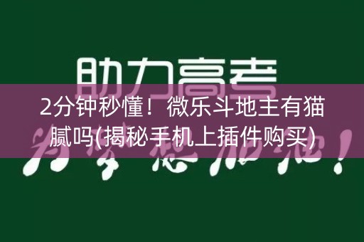 2分钟秒懂！微乐斗地主有猫腻吗(揭秘手机上插件购买)