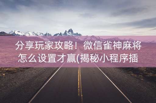 分享玩家攻略！微信雀神麻将怎么设置才赢(揭秘小程序插件下载)