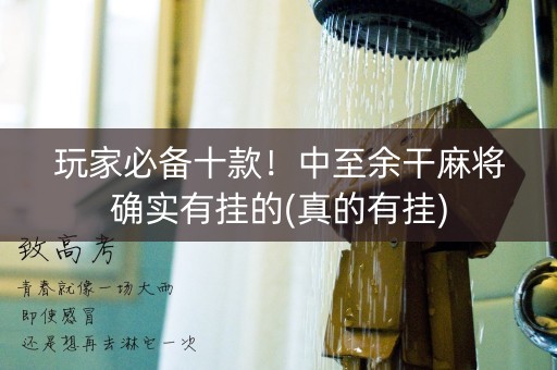 玩家必备十款！中至余干麻将确实有挂的(真的有挂)