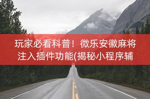 玩家必看科普！微乐安徽麻将注入插件功能(揭秘小程序辅牌器)