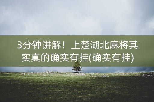 3分钟讲解！上楚湖北麻将其实真的确实有挂(确实有挂)