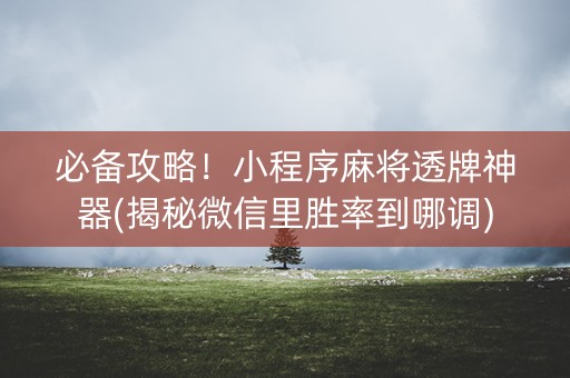 必备攻略！小程序麻将透牌神器(揭秘微信里胜率到哪调)