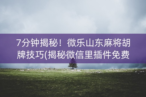7分钟揭秘！微乐山东麻将胡牌技巧(揭秘微信里插件免费)