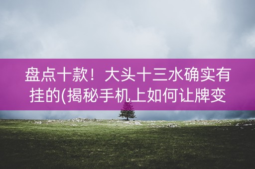 盘点十款！大头十三水确实有挂的(揭秘手机上如何让牌变好)