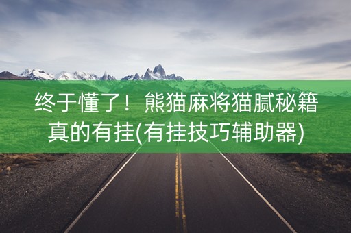 终于懂了！熊猫麻将猫腻秘籍真的有挂(有挂技巧辅助器)