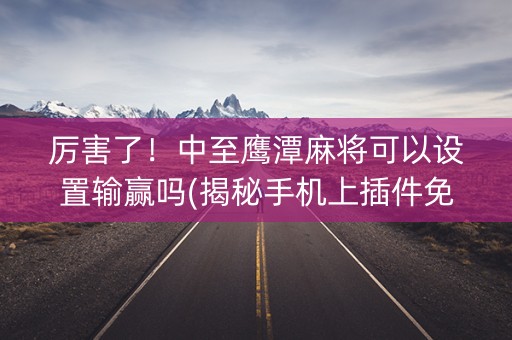 厉害了！中至鹰潭麻将可以设置输赢吗(揭秘手机上插件免费)