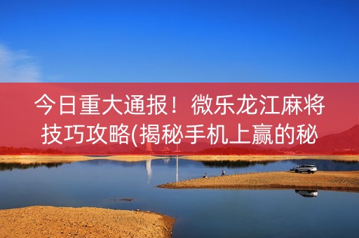 今日重大通报！微乐龙江麻将技巧攻略(揭秘手机上赢的秘诀)