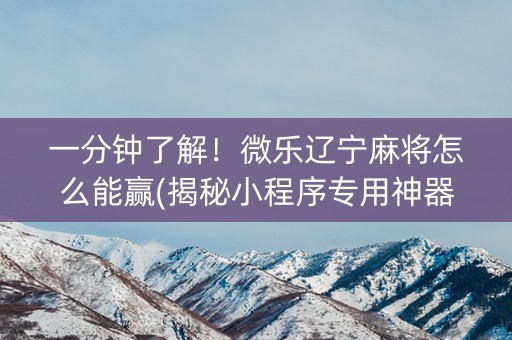 一分钟了解！微乐辽宁麻将怎么能赢(揭秘小程序专用神器)