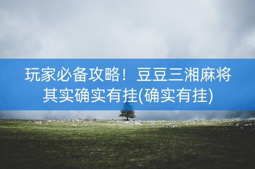 玩家必备攻略！豆豆三湘麻将其实确实有挂(确实有挂)