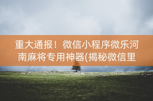 重大通报！微信小程序微乐河南麻将专用神器(揭秘微信里助赢神器购买)