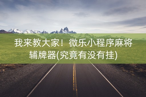 我来教大家！微乐小程序麻将辅牌器(究竟有没有挂)