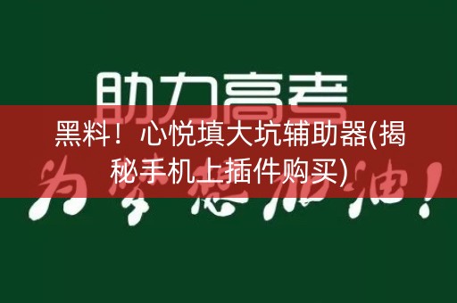黑料！心悦填大坑辅助器(揭秘手机上插件购买)