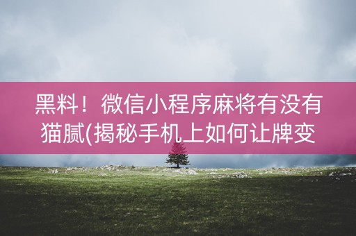 黑料！微信小程序麻将有没有猫腻(揭秘手机上如何让牌变好)
