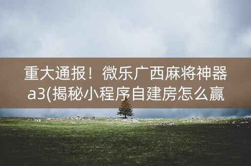 重大通报！微乐广西麻将神器a3(揭秘小程序自建房怎么赢)