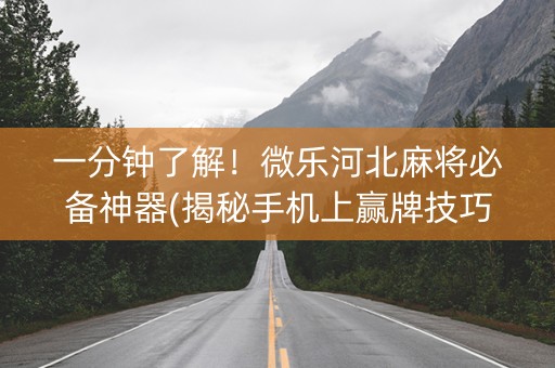 一分钟了解！微乐河北麻将必备神器(揭秘手机上赢牌技巧)